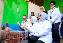 Menteri PPPA dan Kepala BPS Apresiasi Pemberdayaan PNM untuk Usaha Ekonomi Sirkular